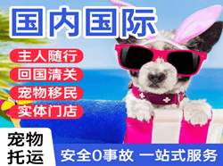 阿坝红原空运代理国际宠物托运 【国